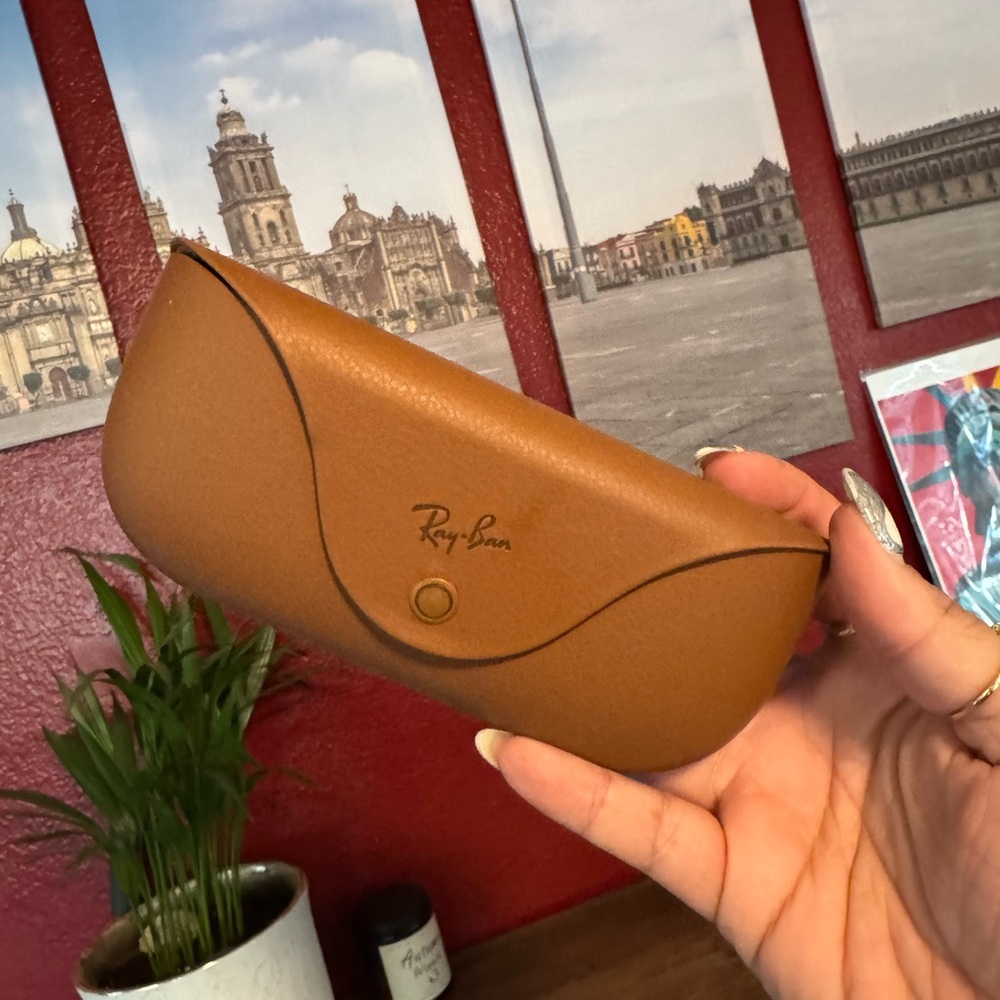 Ray-Ban Brown Sunglasses Case